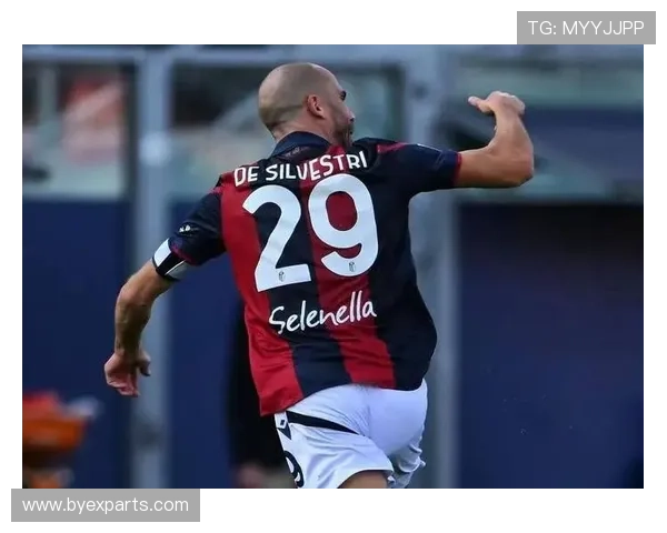 维罗纳降意乙全员担责重建启程 维罗纳降意乙全员担责重建启程